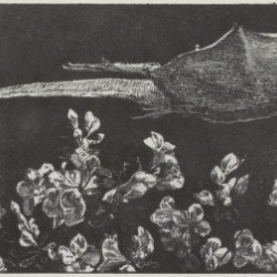 The Abduction
